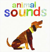 Load image into Gallery viewer, The Little Hungry Caterpillar Learning Library Books (Set of 4)