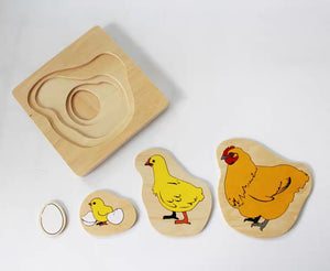 [Ready Stock] Montessori Nesting Life Cycle Puzzle (Chicken)