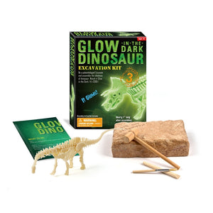 [Ready Stock] DIY Glow In The Dark Dino Kit II