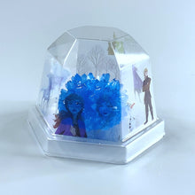 Load image into Gallery viewer, [Ready Stock] DIY Frozen Crystal Terrarium
