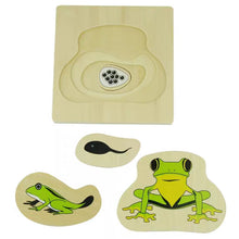 Load image into Gallery viewer, Montessori Nesting Life Cycle Puzzle (Frog)
