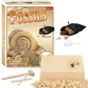 [Ready Stock] Mining Kit - Fossils