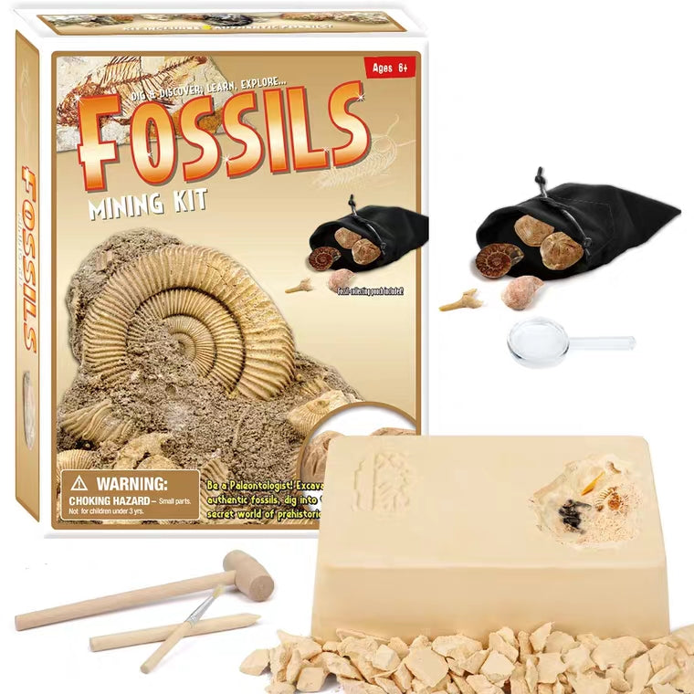 [Ready Stock] Mining Kit - Fossils