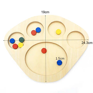 Montessori Colour Sorting Board