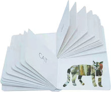 Load image into Gallery viewer, Eric Carle My Very First Library Set C (Set of 8)
