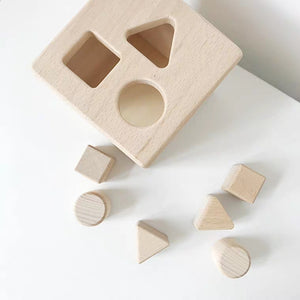 Montessori Wooden Box Shape Sorter