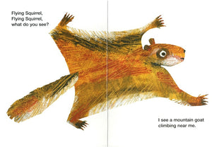 Eric Carle Baby Bear What Do You Hear Board Books Set A (Set of 3)