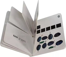 Load image into Gallery viewer, Eric Carle My Very First Library Set C (Set of 8)
