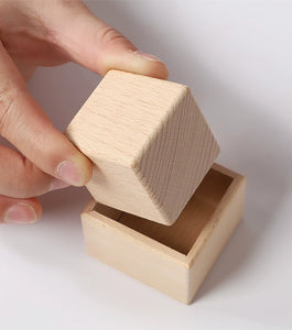 [Ready Stock] Montessori Box and Cube