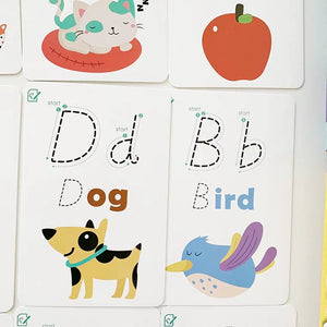 Write and Wipe Alphabet ABC / Number Activity Cards