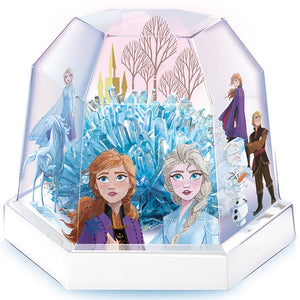 [Ready Stock] DIY Frozen Crystal Terrarium