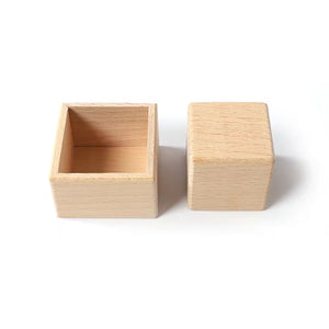 [Ready Stock] Montessori Box and Cube