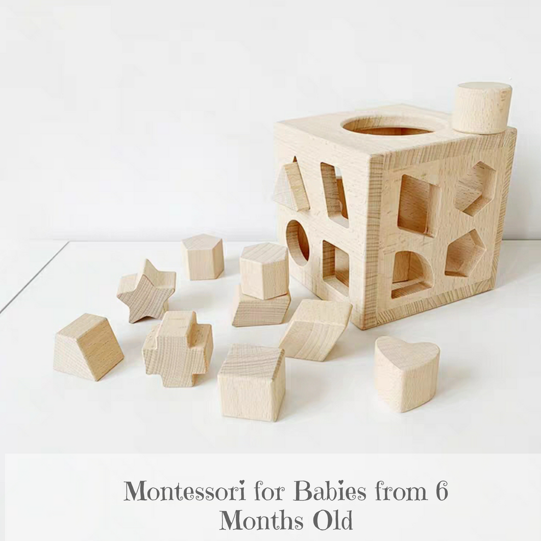 Montessori Wooden Box Shape Sorter