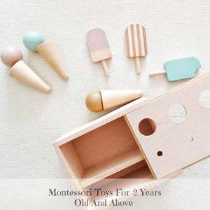 Montessori Ice Cream Wooden Set