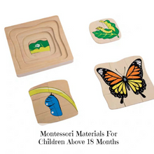 Load image into Gallery viewer, [Ready Stock] Montessori Nesting Life Cycle Puzzle (Butterfly)
