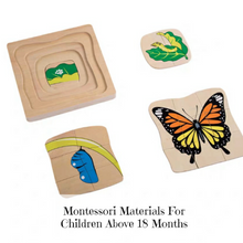 Load image into Gallery viewer, Montessori Nesting Life Cycle Puzzle (Frog)
