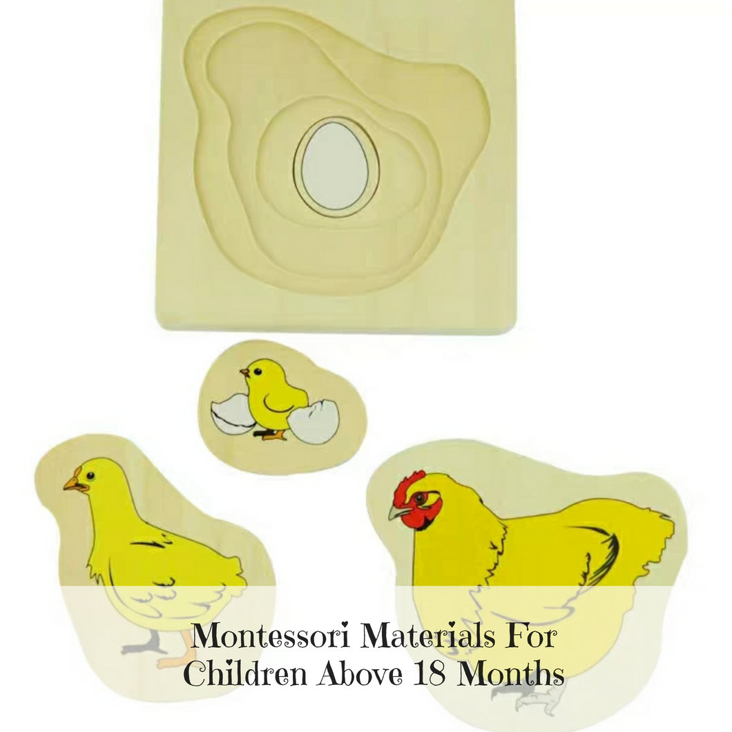 [Ready Stock] Montessori Nesting Life Cycle Puzzle (Chicken)