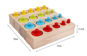 [Ready Stock] Montessori Knobbed Colourful Cylinders